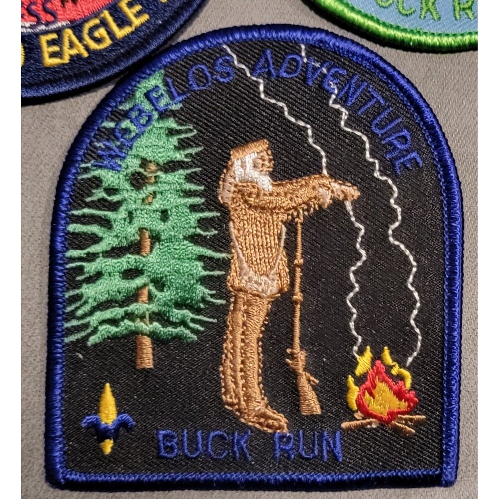 BSA Boy Scouts America Embroidered Patch Mixed Lot Eagle Camp Buck Run Science - Picture 4 of 7